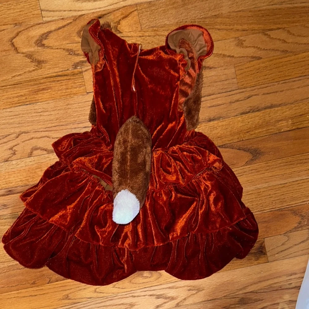 ❄️Adorable Dreamgirl Kids Fuzzy fox Costume size‎ small w/detachable tail